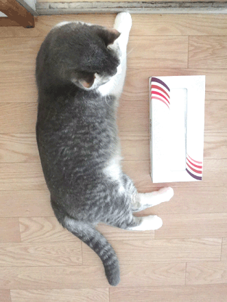 続・いっくんの “それゆけ 一球入魂 ”-サイズ感