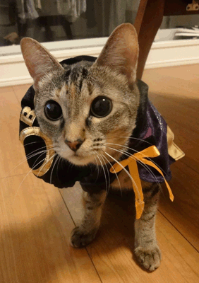 続・いっくんの “それゆけ 一球入魂 ”-ハロ3