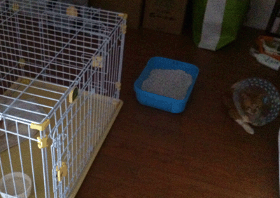 続・いっくんの “それゆけ 一球入魂 ”-ケージ7