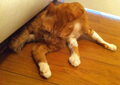 続・いっくんの “それゆけ 一球入魂 ”-カラーなし3