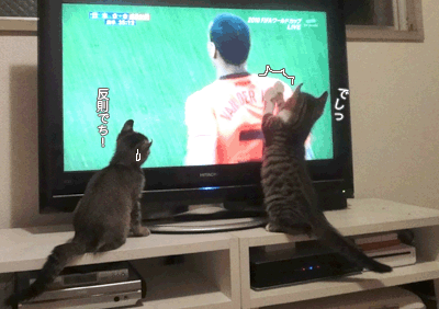 続・いっくんの “それゆけ 一球入魂 ”-なでしこ8