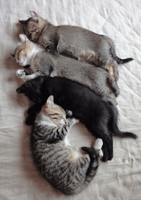 続・いっくんの “それゆけ 一球入魂 ”-ならび1