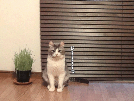 続・いっくんの “それゆけ 一球入魂 ”-じ～1