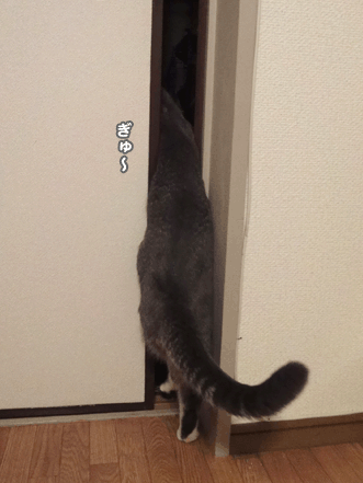 $続・いっくんの “それゆけ 一球入魂 ”-ムリ