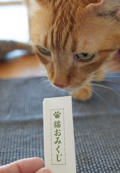 52