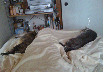 続・いっくんの “それゆけ 一球入魂 ”-baby0