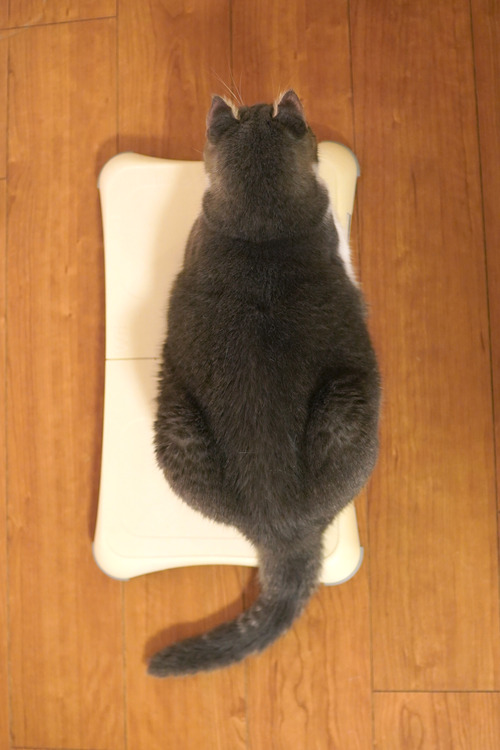 i2