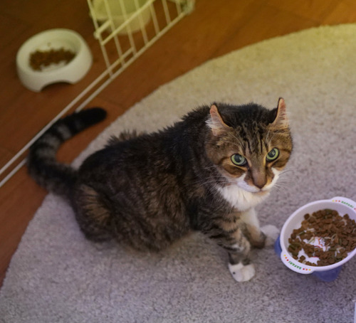 maru1