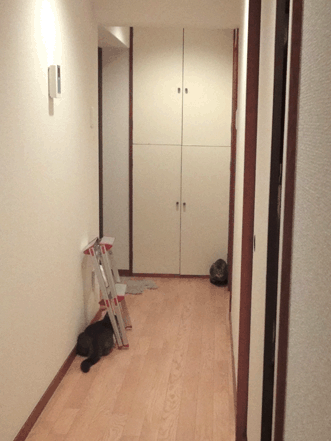 続・いっくんの “それゆけ 一球入魂 ”-禁断2