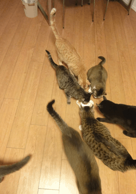 続・いっくんの “それゆけ 一球入魂 ”-2012年4月15日３