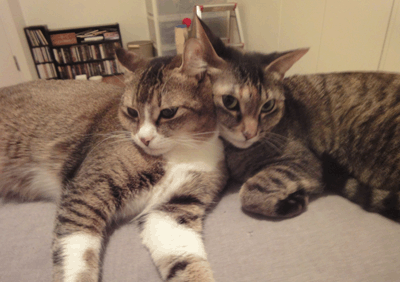 続・いっくんの “それゆけ 一球入魂 ”-うぶ茶ま３