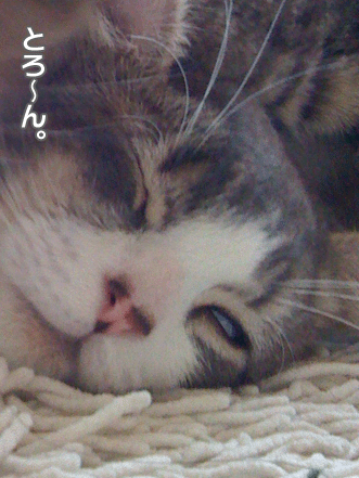 続・いっくんの “それゆけ 一球入魂 ”-なめ６