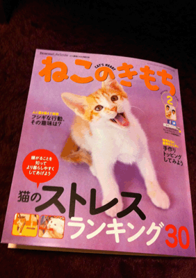 続・いっくんの “それゆけ 一球入魂 ”-ねこのきもち2月1