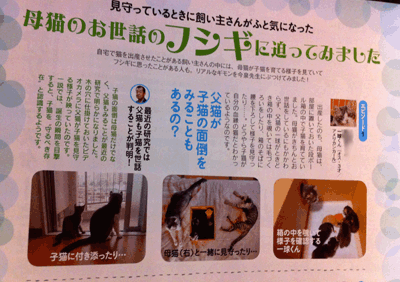 続・いっくんの “それゆけ 一球入魂 ”-ねこのきもち2月3