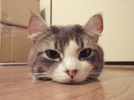 $続・いっくんの “それゆけ 一球入魂 ”