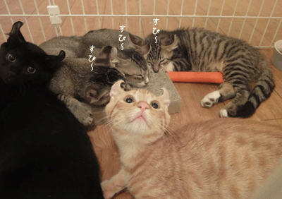 続・いっくんの “それゆけ 一球入魂 ”-元気