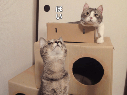 続・いっくんの “それゆけ 一球入魂 ”-ほい3