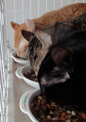 続・いっくんの “それゆけ 一球入魂 ”-メンズ3