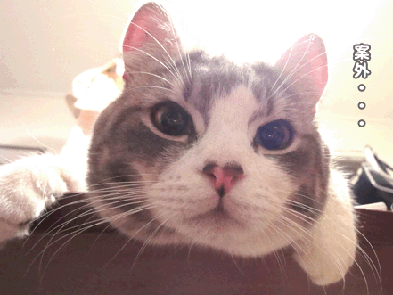 続・いっくんの “それゆけ 一球入魂 ”-こう見えて2