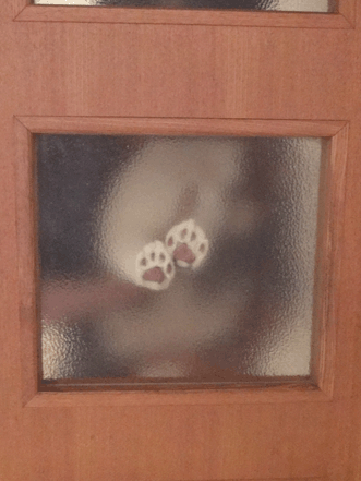 続・いっくんの “それゆけ 一球入魂 ”-手