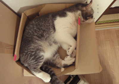 続・いっくんの “それゆけ 一球入魂 ”-切れ目3