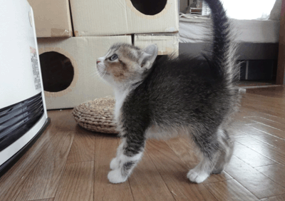 続・いっくんの “それゆけ 一球入魂 ”-うぶ