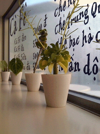 続・いっくんの “それゆけ 一球入魂 ”-ベトナム3