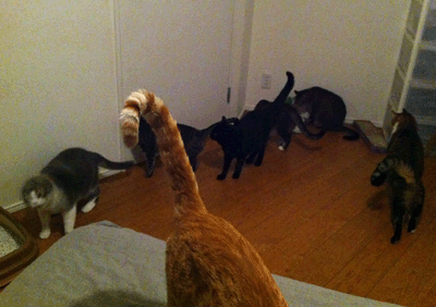 続・いっくんの “それゆけ 一球入魂 ”-2013年7月17日全員