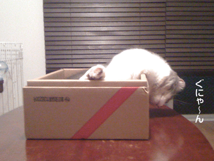 続・いっくんの “それゆけ 一球入魂 ”