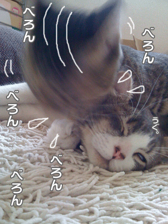 続・いっくんの “それゆけ 一球入魂 ”-なめ５