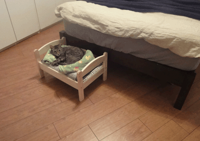 続・いっくんの “それゆけ 一球入魂 ”-ベッド1