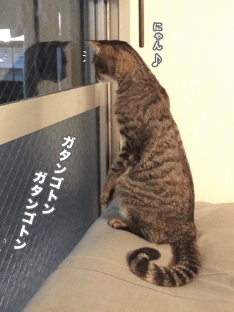 続・いっくんの “それゆけ 一球入魂 ”-窓2