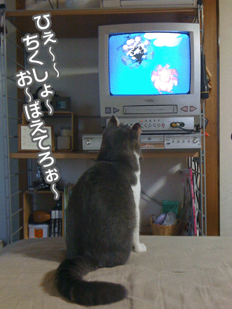 続・いっくんの “それゆけ 一球入魂 ”