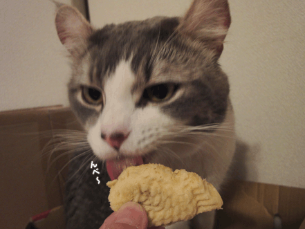 続・いっくんの “それゆけ 一球入魂 ”-vt4