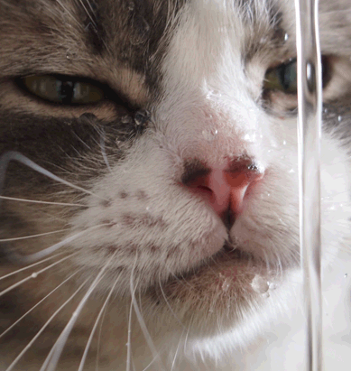 続・いっくんの “それゆけ 一球入魂 ”-いち１