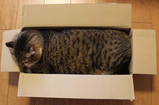 まる箱１