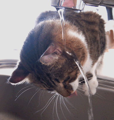 続・いっくんの “それゆけ 一球入魂 ”-まる１