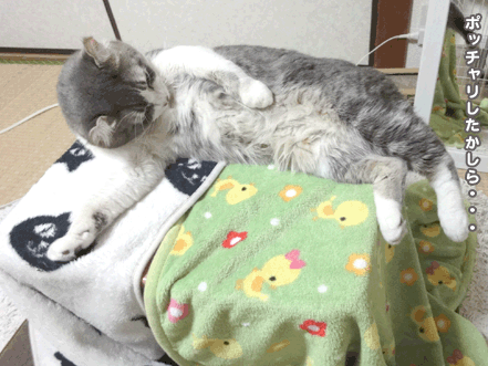 続・いっくんの “それゆけ 一球入魂 ”-ボディ3