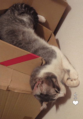 続・いっくんの “それゆけ 一球入魂 ”-切れ目5