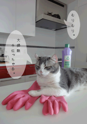 続・いっくんの “それゆけ 一球入魂 ”-大掃除1