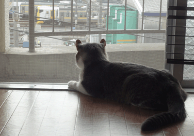 続・いっくんの “それゆけ 一球入魂 ”