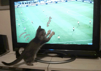 続・いっくんの “それゆけ 一球入魂 ”-なでしこ1