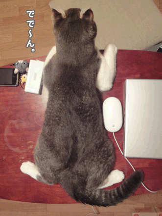 続・いっくんの “それゆけ 一球入魂 ”-こう見えて4