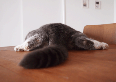 続・いっくんの “それゆけ 一球入魂 ”-うしろから。