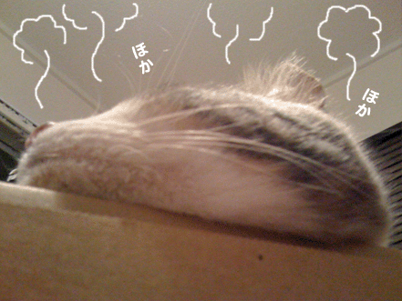 続・いっくんの “それゆけ 一球入魂 ”-饅頭２