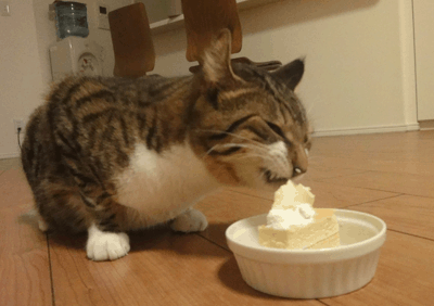 続・いっくんの “それゆけ 一球入魂 ”-ケーキ３