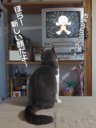 続・いっくんの “それゆけ 一球入魂 ”
