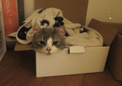 茶ままのブログ-はこ