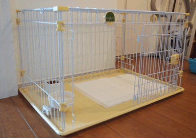 続・いっくんの “それゆけ 一球入魂 ”-ケージ6