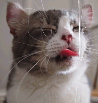 続・いっくんの “それゆけ 一球入魂 ”-いち２